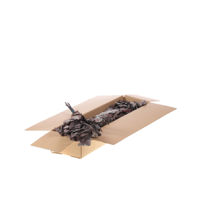 Eucalyptus True Blue Preserved A Sb Light Brown