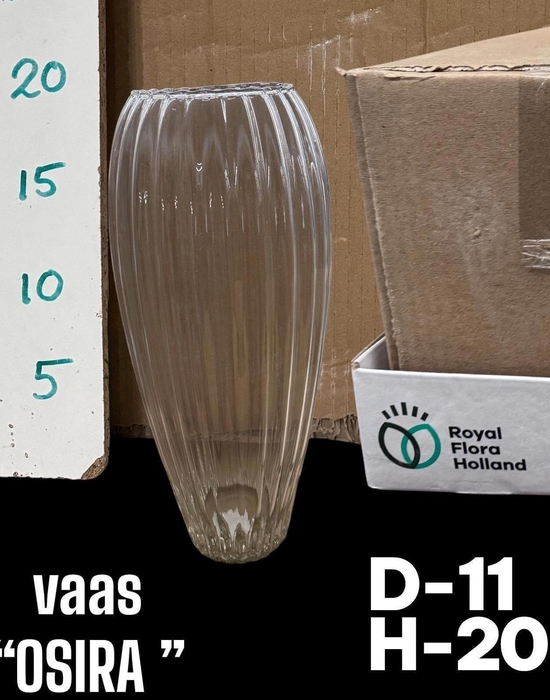 <h4>GLAZEN VAZEN H%</h4>