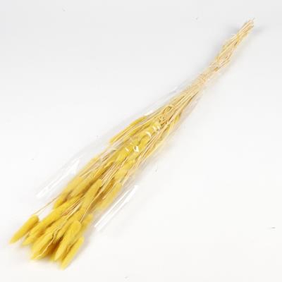 <h4>Df Lagurus Bs 50g/70cm Yellow</h4>