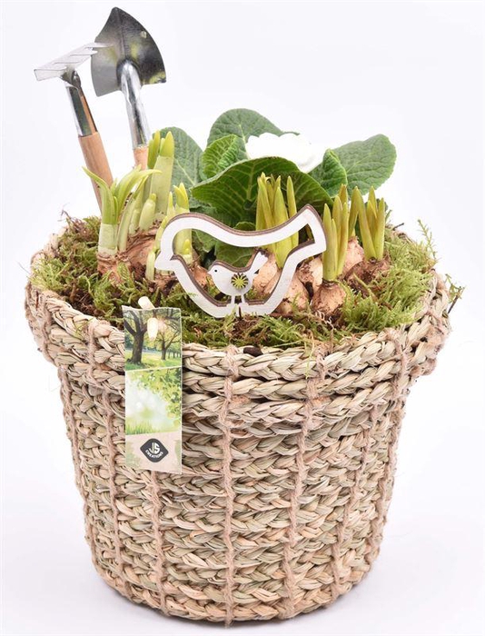 <h4>Touwmand met rand 17cm</h4>