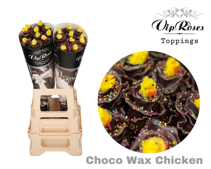 <h4>R Gr Choco Wax Chicken</h4>