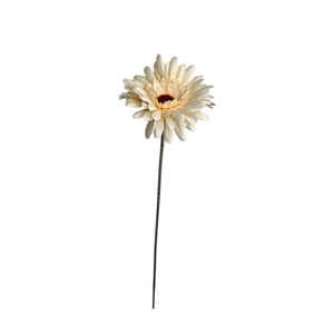 AF Gerbera L58cm Cream