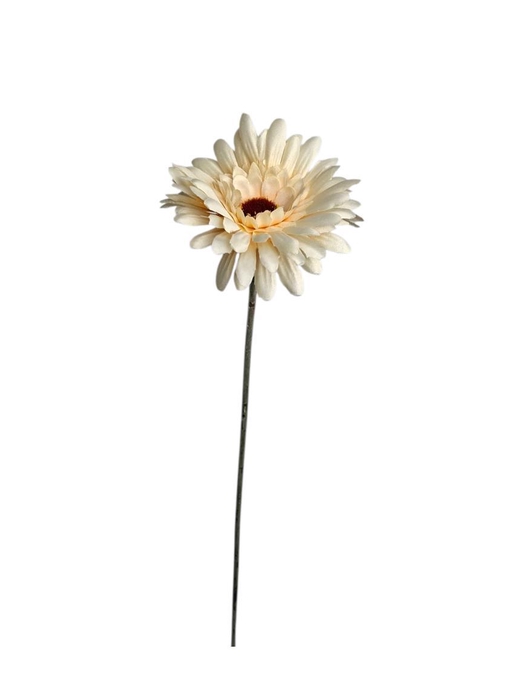 <h4>AF Gerbera L58cm Cream</h4>