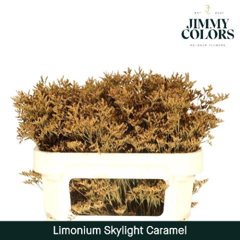<h4>Lim Skylight L70 Caramel</h4>