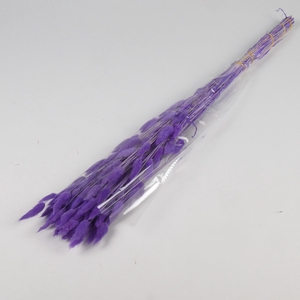DF Lagurus Bs 50g/70cm Milka