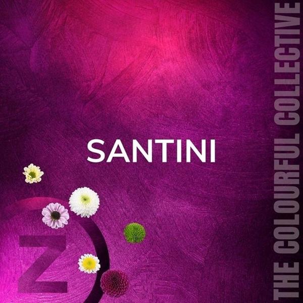 <h4>CHR SAN overig</h4>