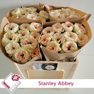 RS GR STANLEY ABBEY