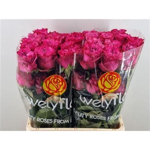 R Gr Country Blues ***