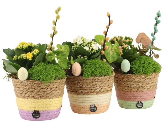 <h4>70760: Easter arrangement</h4>