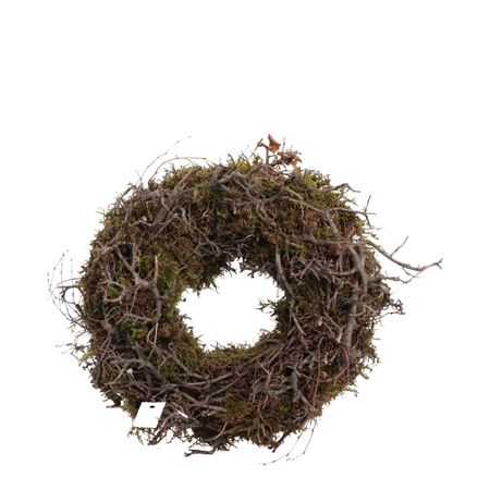 <h4>KRANS LAPPENMOS/BONSAIHOUT h%</h4>