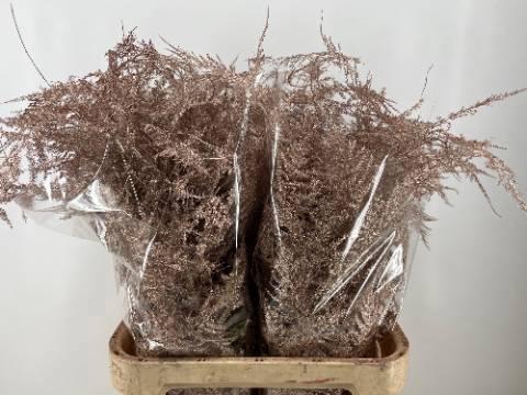 <h4>ASP OV KLB H%</h4>