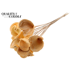 Badam On Stem Bleached Salmon