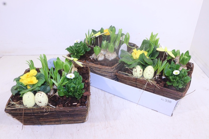 <h4>ARR TUINPLANTEN</h4>