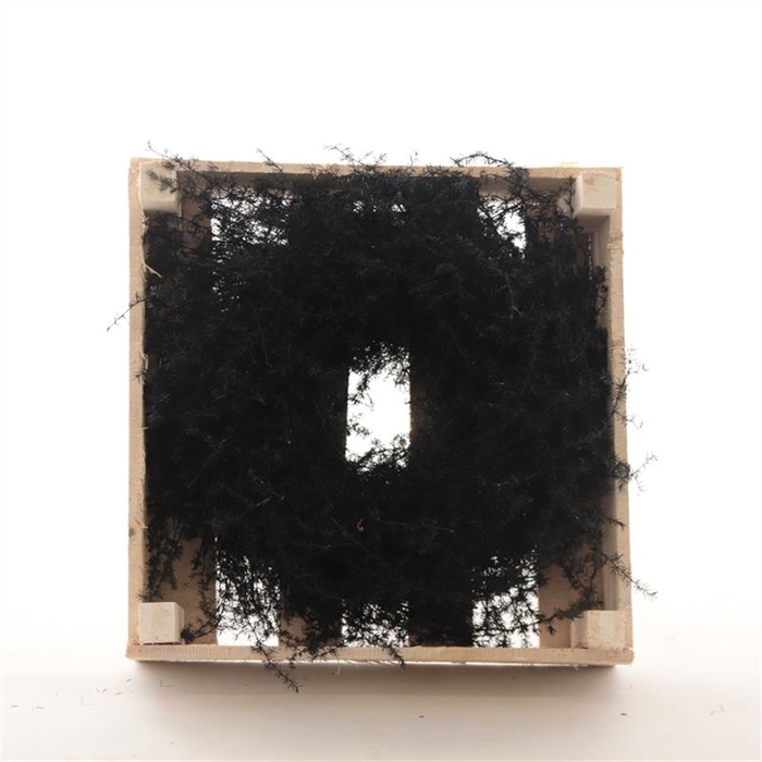 <h4>Krans Asparagus Wax</h4>