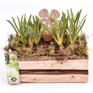 Hout rechth. met handvat 20x11cm