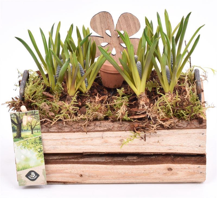 <h4>Hout rechth. met handvat 20x11cm</h4>