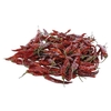 Fruit Chillies Red Short 250gr