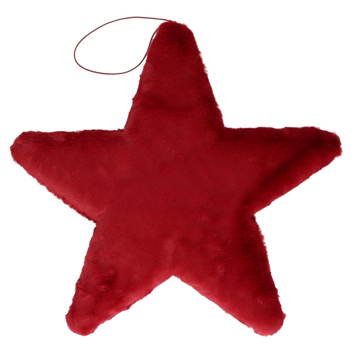 <h4>Kerst Hanger ster stof d40cm</h4>