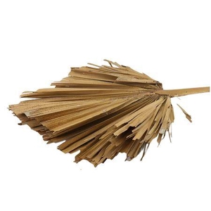 Dried Palm King Spear Naturel Xl Per Stem