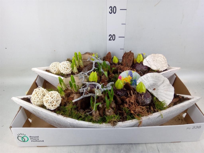 <h4>Arr. Bol/Knolgewas L%</h4>