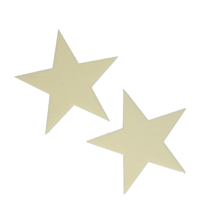 <h4>Oasis Color star 25cm</h4>