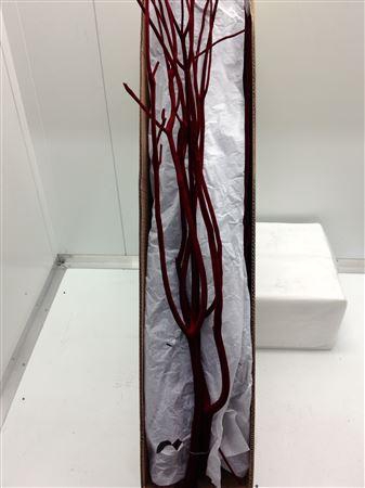 <h4>Mitsumata Flock Dark Red Bs</h4>