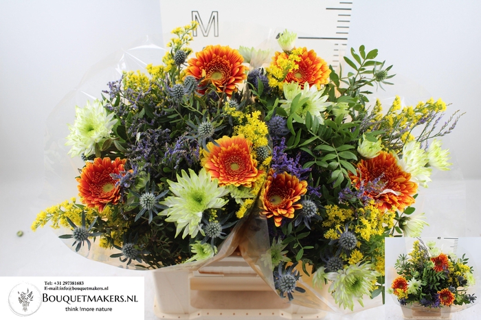 <h4>GEM BOEKET OV</h4>