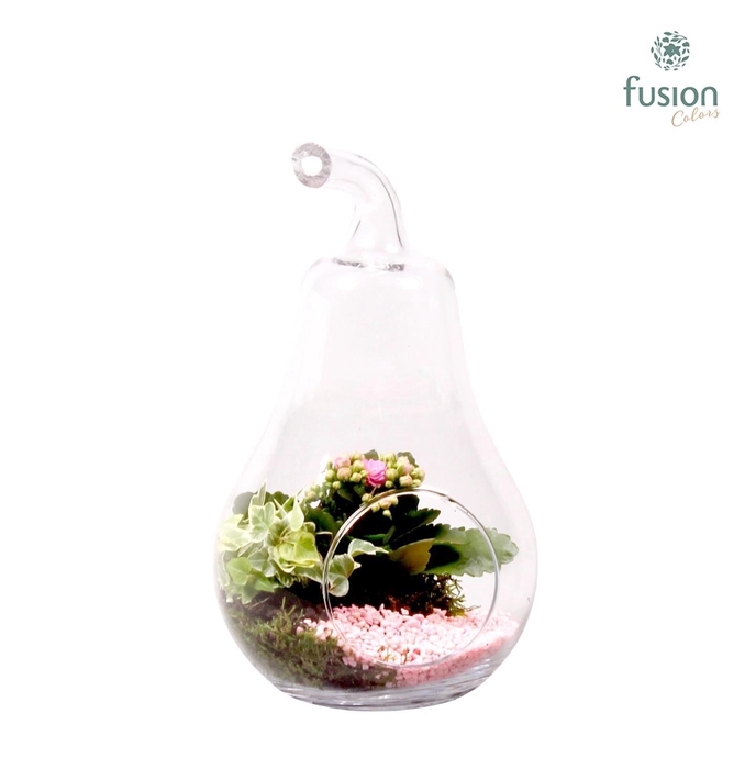 <h4>Glazen peer met Arrangement D17 H30</h4>