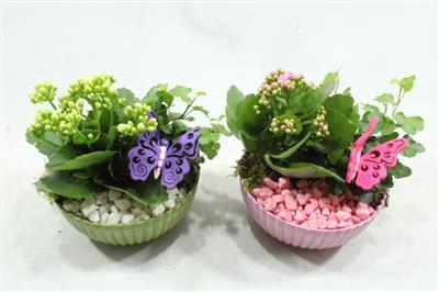 <h4>0913 Ribbelschaal Indoor Mix</h4>
