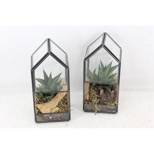 arr3 SN - Terrarium glas house x12