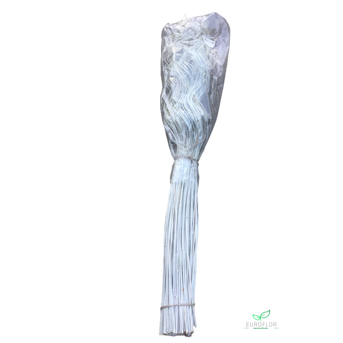 <h4>CURLY WILLOW 130CM 200ST LIGHTGREY</h4>