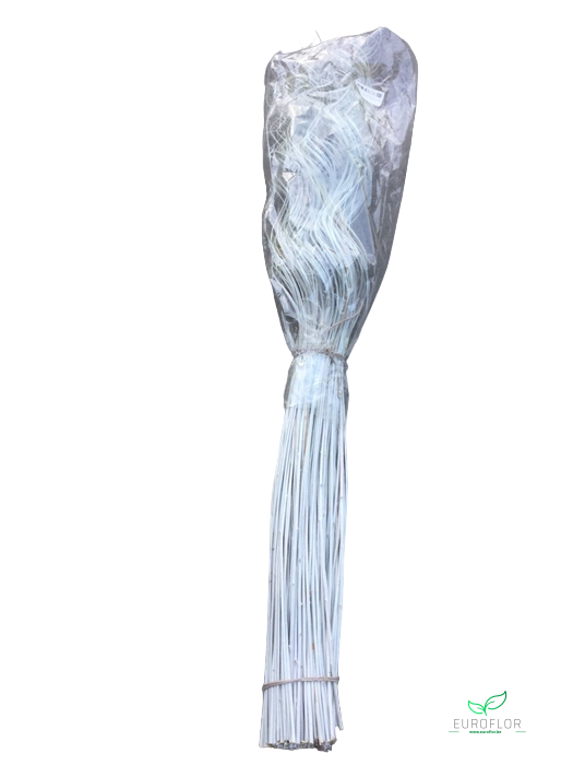 CURLY WILLOW 130CM 200ST LIGHTGREY