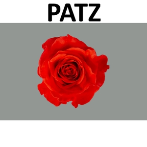 R GR PATZ Boxes (S)