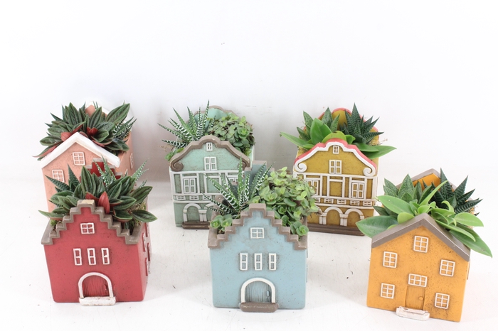 <h4>arr3 SN - Casa Scandinavian x6</h4>