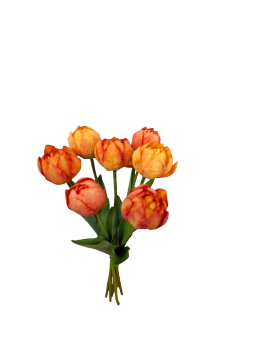 <h4>AF Tulip Columbus Bundx7 L44cm</h4>
