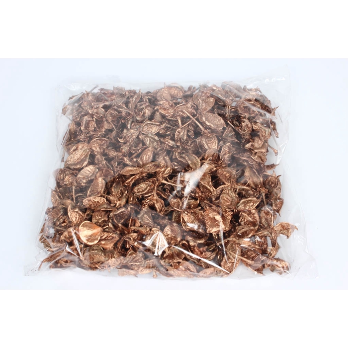 <h4>Cotton pods 250gr in poly Copper</h4>