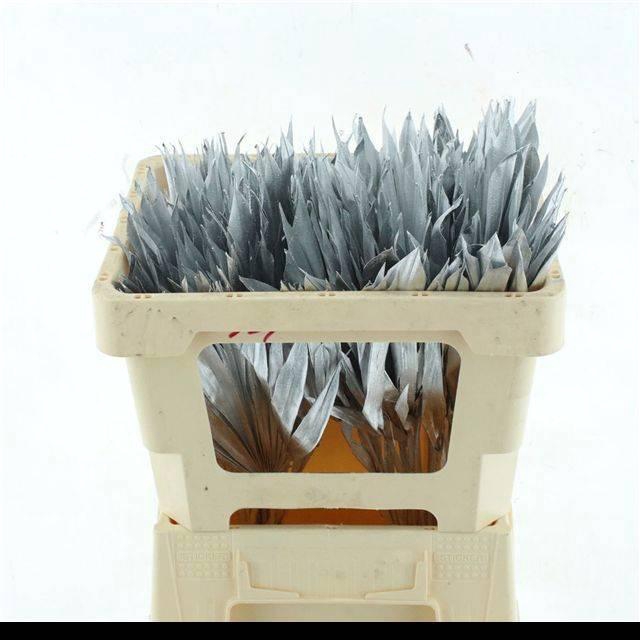 <h4>DROOGBL BEWERKT H%</h4>