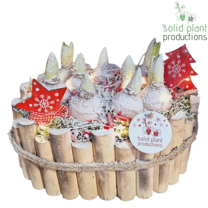 <h4>HXH007 Bologna Large Hyacint +LED</h4>