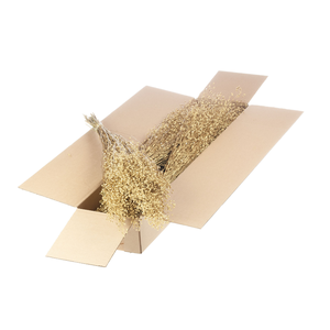 Lepidium Atraxa Sb Gold