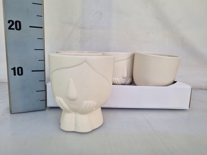 <h4>HUIS EN TUINDECO H%</h4>