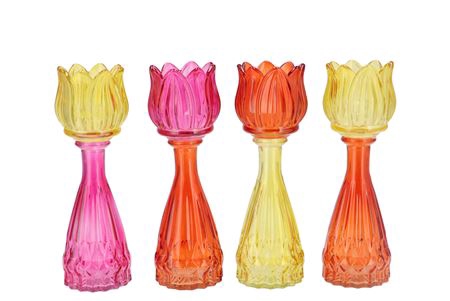 <h4>Bicolore Dutch Orange Mix Tulip Vase Ass 7x22cm</h4>