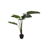 Silk Strelitzia Green 159cm Nm