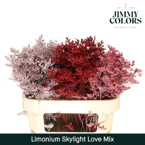 Limonium Skylight L80 Love Mix