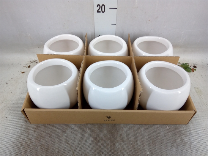 <h4>Pot   ...Keramische H%</h4>