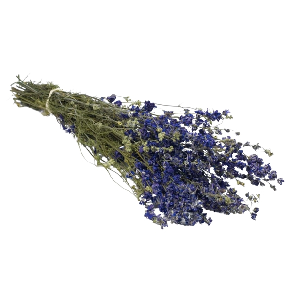 <h4>Droogbloemen - Delphinium Blue</h4>