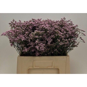 LIM SAF OSHI PINK 60gr