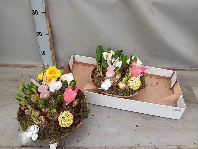 <h4>ARR BOL KNOLGEWAS</h4>