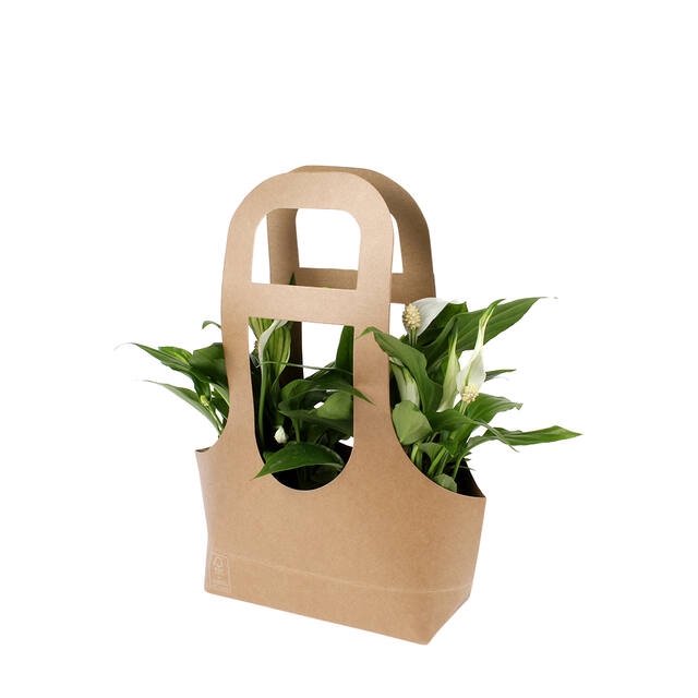 <h4>Bag Twinny carton 17.5x7.5xH12.5/38 cm brown  10/bag</h4>