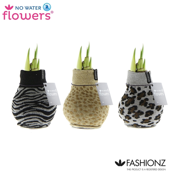 <h4>No Water Flowers® Fashionz Animal Print</h4>