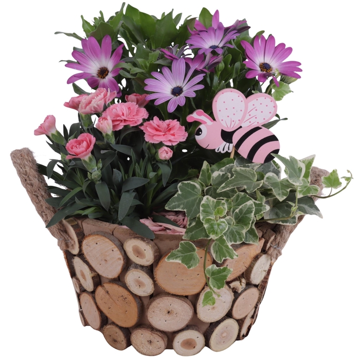 <h4>Spring Flower Arr. Outdoor Wooden Pot Round Tree Chucks Ø22cm3PP</h4>